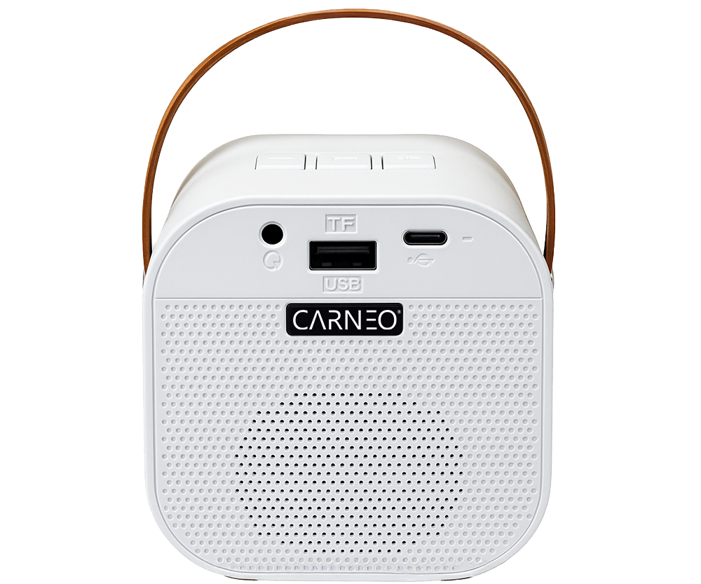 Carneo Karaoke DJ mini_7